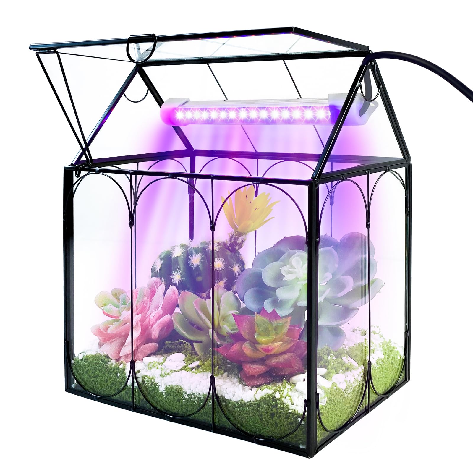 Rifny Indoor House Shape Glass Terrarium Kit with Grow Light & Lid - Small Plant Terrarium Jar for Venus Fly Trap, Succulents & Air Plants - Perfect Home & Office Decor (Plants Not Included) | Great for Desktop Decor, Gift Ideas & Indoor Gardening Enthusiasts