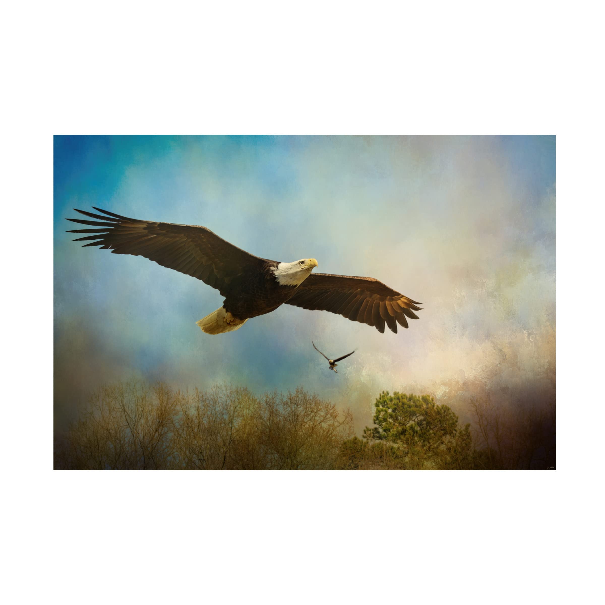 Trademark Fine Art 'Twice The Power' Canvas Wall Art by Jai Johnson - 30x47 Inches, Modern Home Decor for Living Room, Bedroom & Office