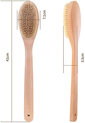 Natural Bristle Bath & Body Brush with Long Handle - Exfoliating Back Scrubber for Shower, Improves Blood Circulation & Skin Health - Perfect for Spa, Self-Care & Deep Cleansing Routines
