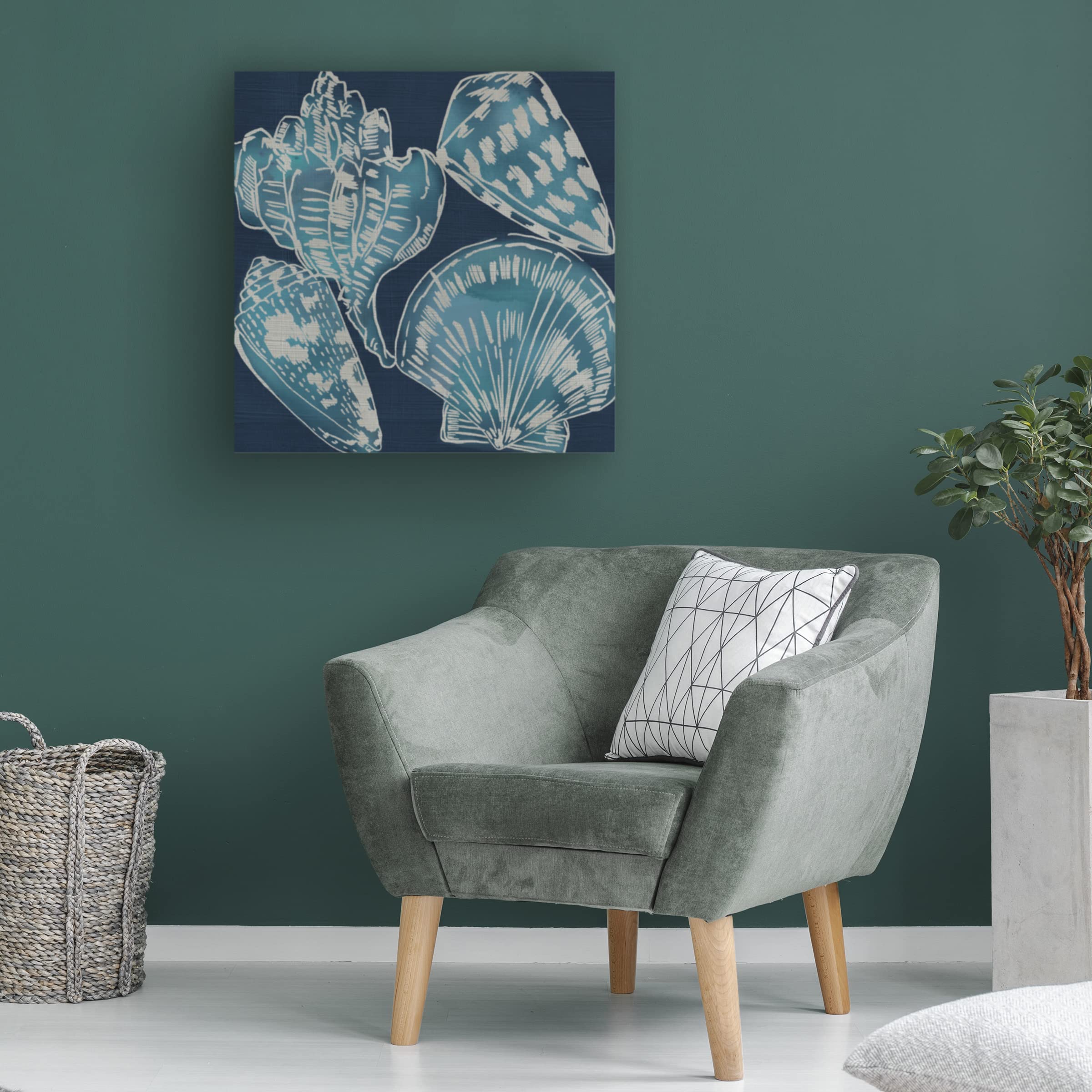 Trademark Fine Art 'Marine Shells II' by Chariklia Zarris - Stretched Canvas Wall Art Decor for Living Room, Bedroom & Office | Coastal Beach Theme Home Decor