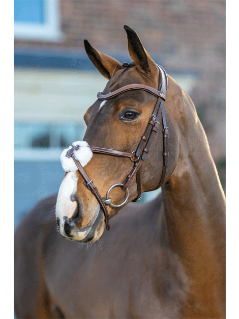 Le Mieux Arika Grackle Bridle - Premium Horse Riding Bridle for Dressage & Jumping | Comfort Fit Equestrian Equipment for Training & Competition