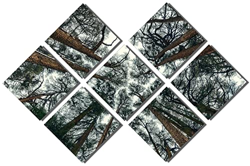 7 Panel Butterfly