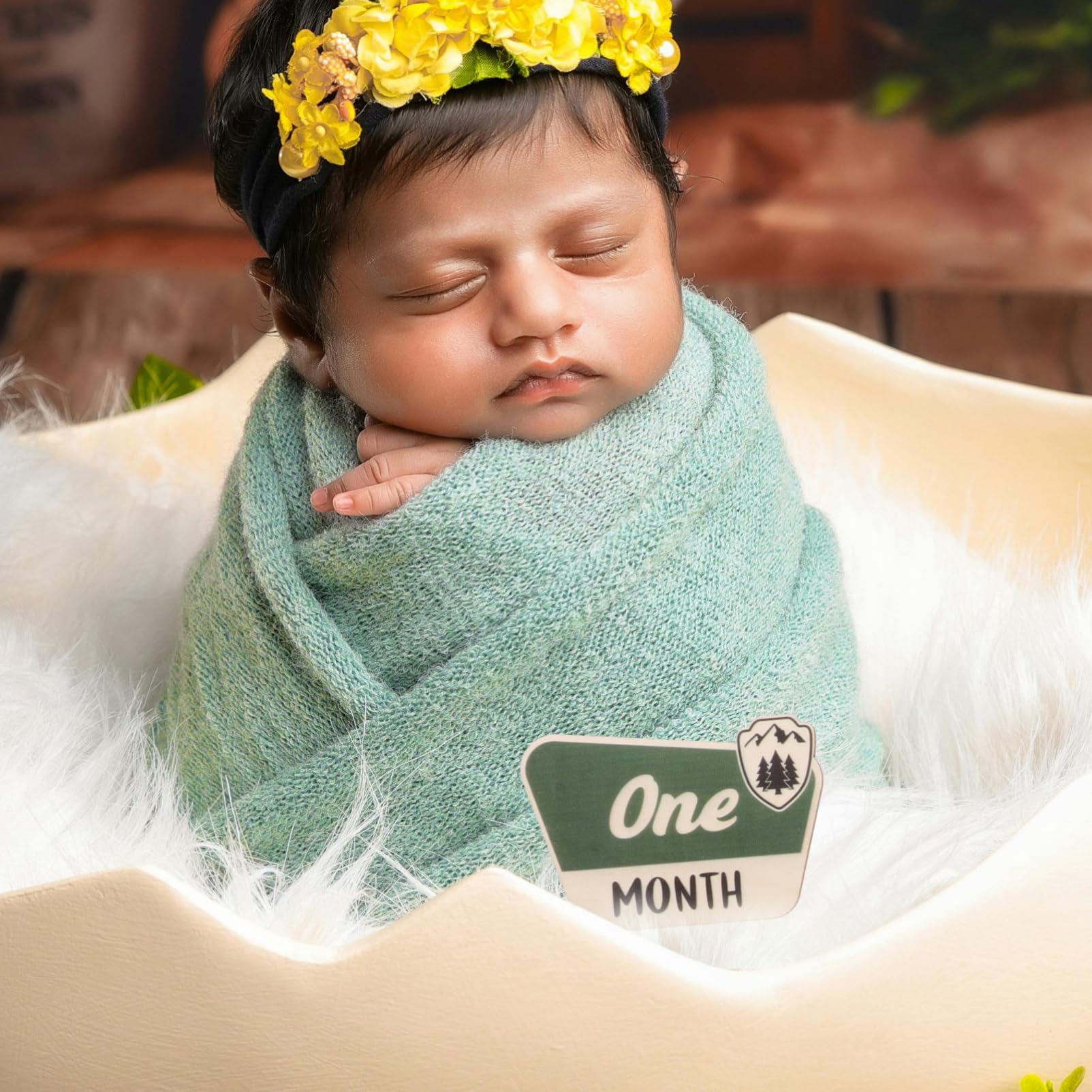 Totority 24 Pcs Baby Month Milestone Sign Set - Newborn Announcement Felt Flap Photo Props for Monthly Growth Tracking | Perfect for 1st Birthday, Baby Shower Decor & Woodland Theme Nursery