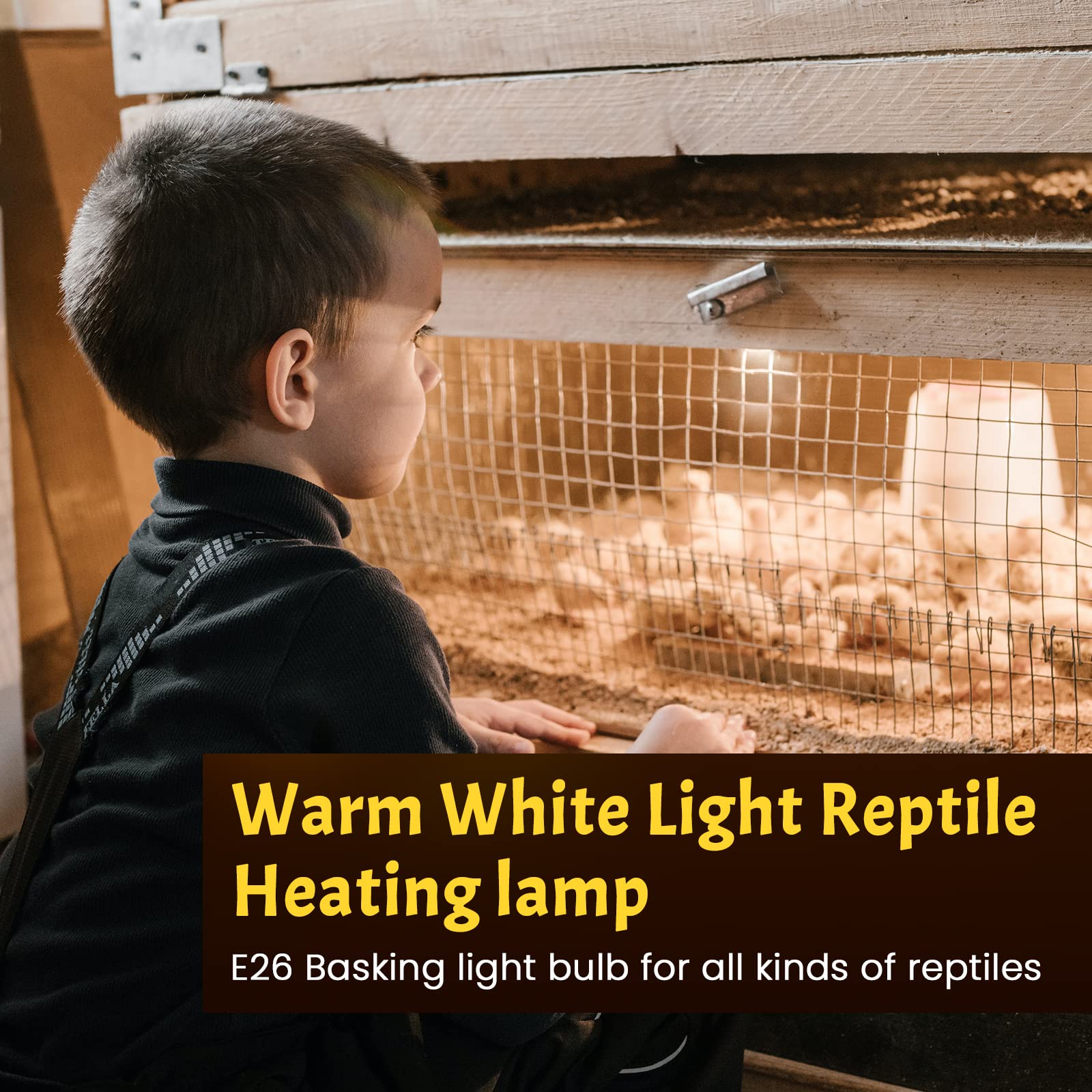 50W Reptile Heat Lamp Bulb - UVA UVB Full Spectrum Sun Light, E26 Dimmable Basking Bulb for Turtles, Lizards, Amphibians & Terrariums (8-Pack) - Perfect for Reptile Habitats, Nighttime Heating & UV Supplementation