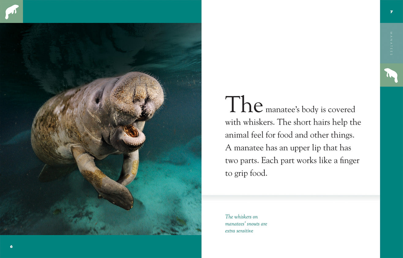 Amazing Animals (2014): Manatees - Gentle Sea Cows Documentary | Wildlife & Marine Life Education | Perfect for Nature Lovers & Classroom Learning
