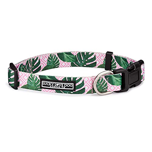 Laguna Collar Only