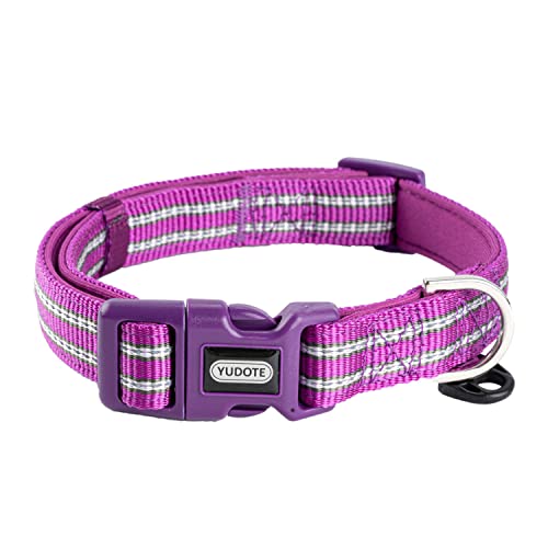 Collar- Dark Purple