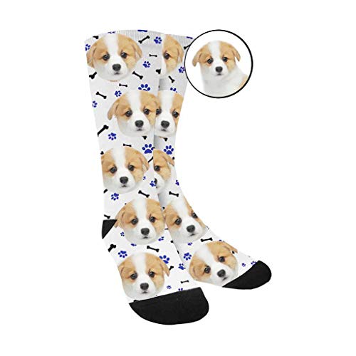 2-dog White