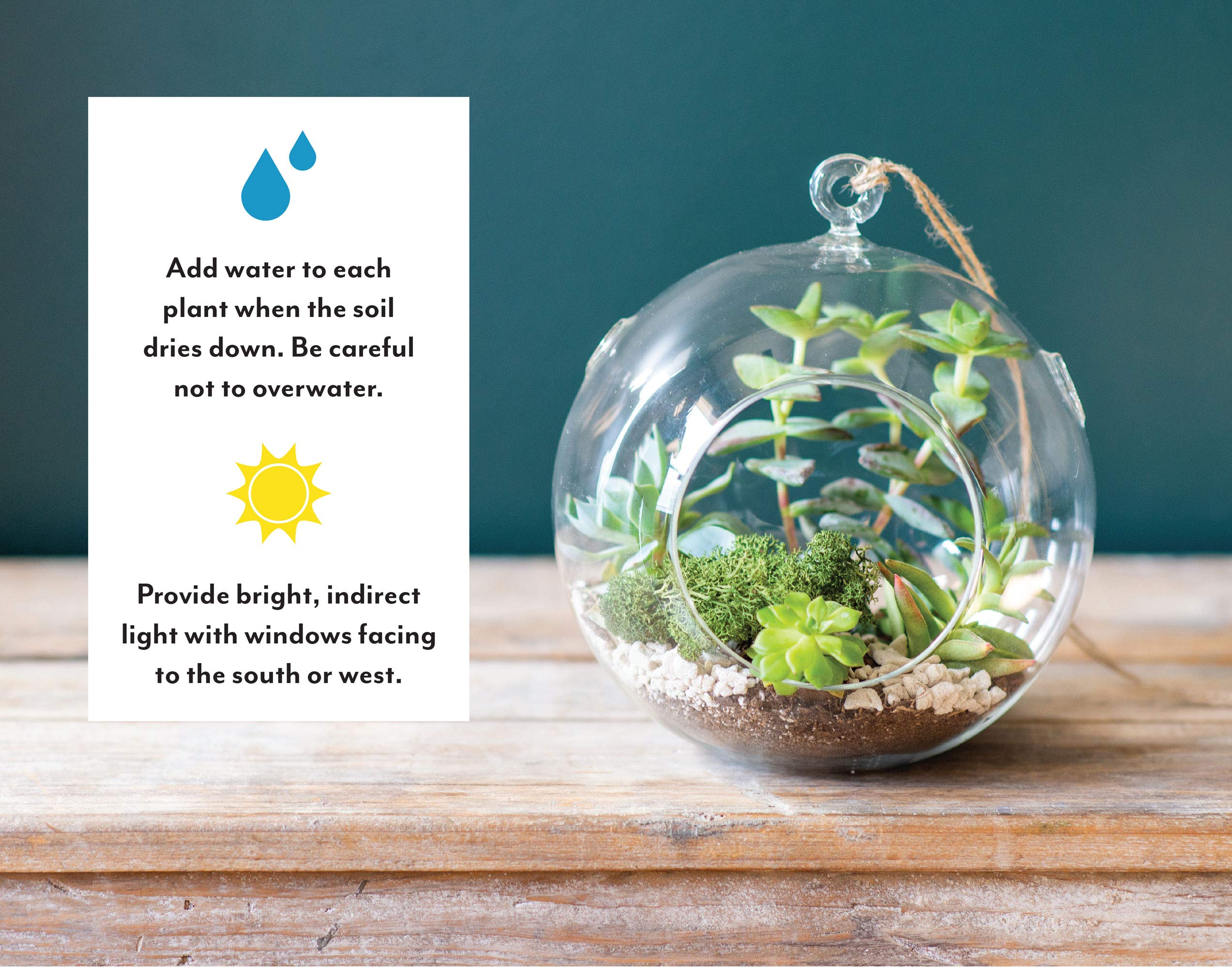 Syndicate Home & Garden Floating Orb Terrarium Kit - Glass Container, Stones, Soil & Moss for Indoor Plants | Perfect for Home Decor, Office Desk & Zen Garden Displays