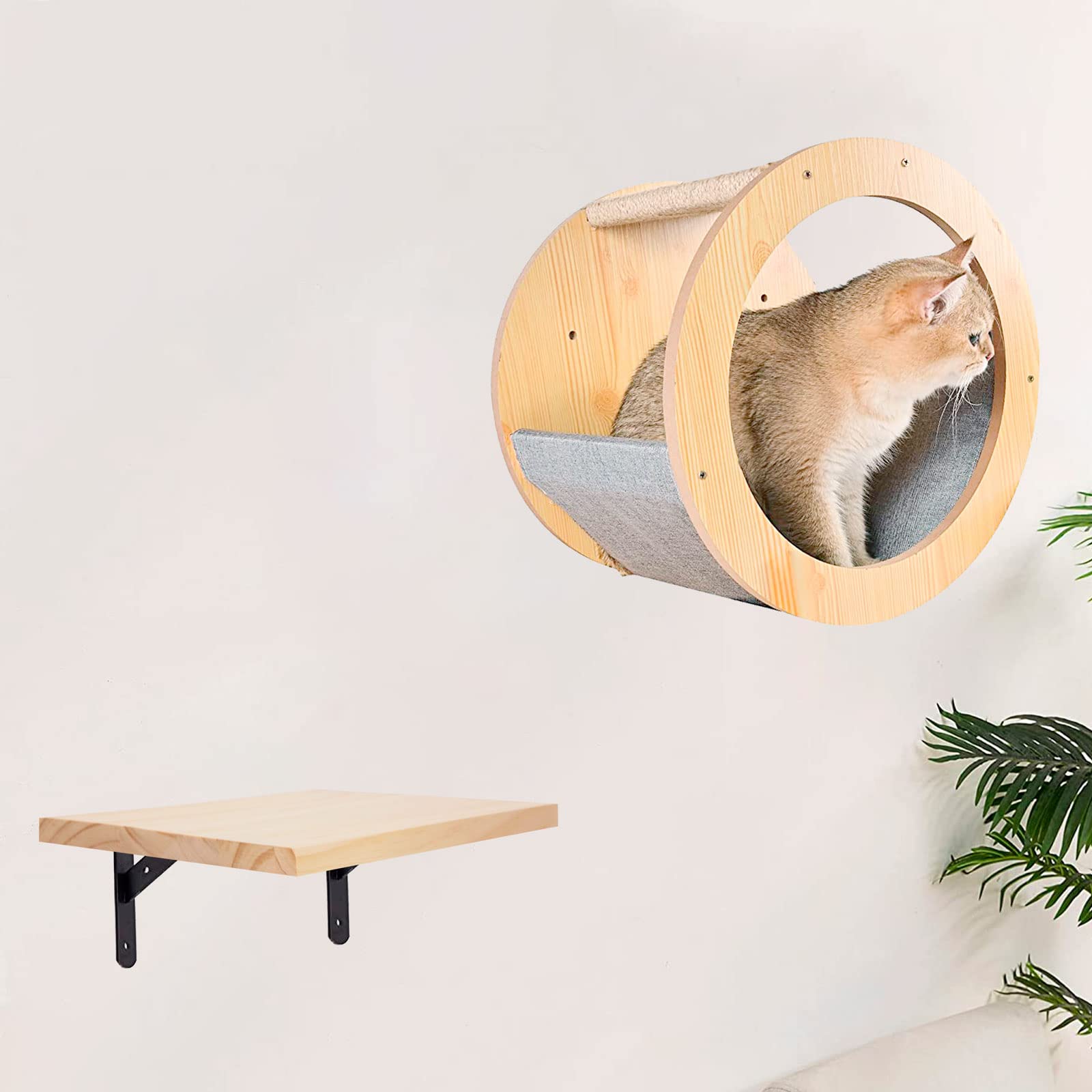 2 Pack Wooden Wall Mounted Cat Climbing Shelves - Cat Hideaway Platform & Step Climber - 7.87 x 9.84 Inch (20 x 25cm) Cat Wall Furniture for Indoor Cats - Perfect for Playing, Jumping, Lounging & Space-Saving in Small Apartments