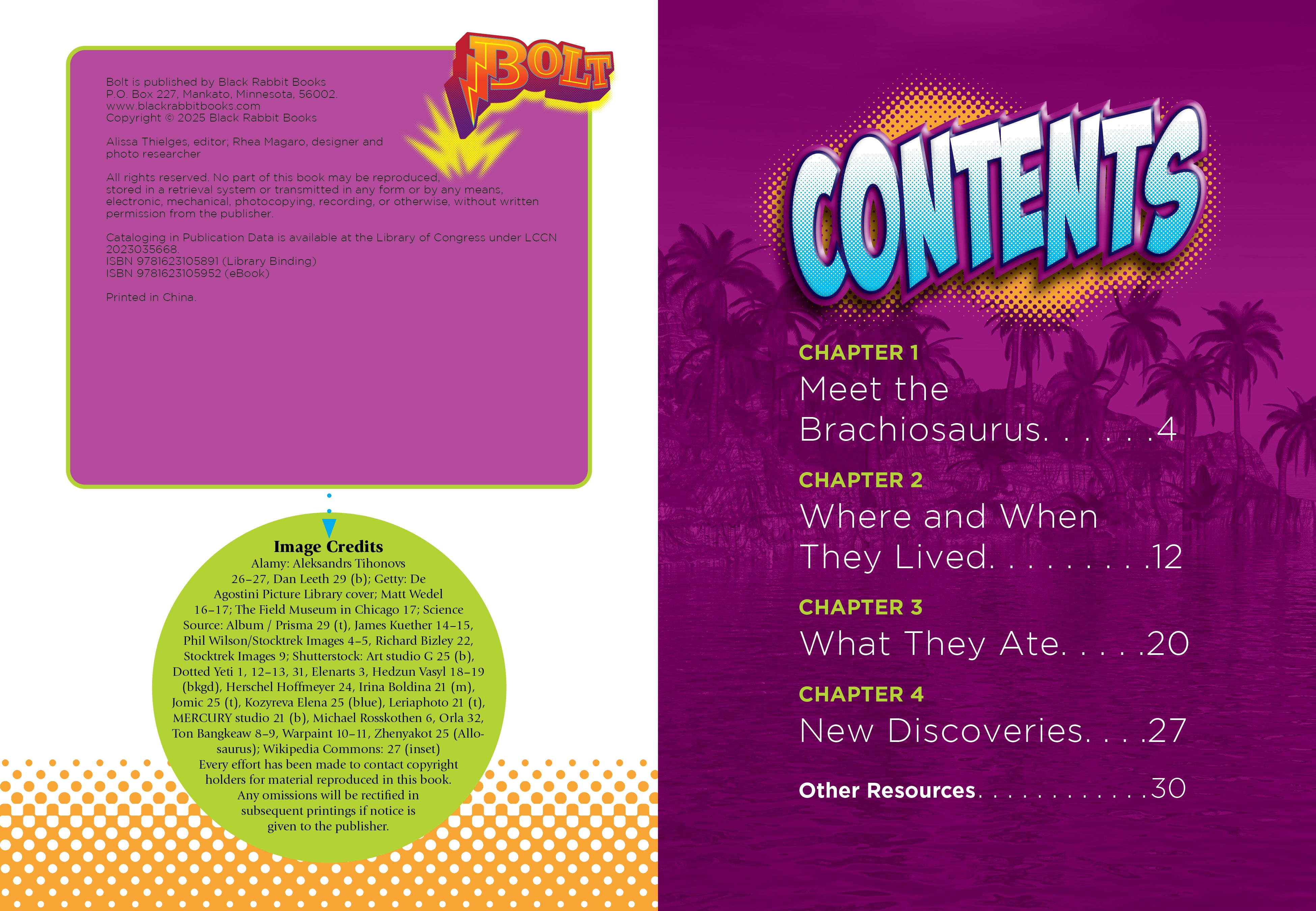 Brachiosaurus Dinosaur Book 9781623105891 - Educational Kids Reading & Learning for School, Home & Gifts