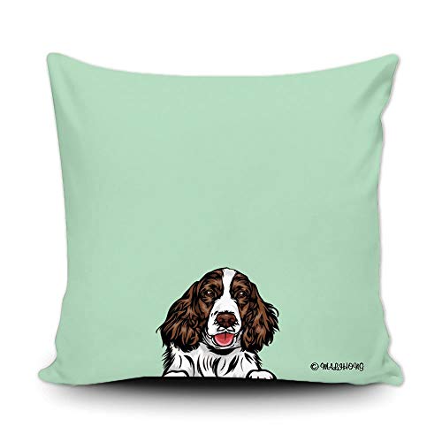 English Springer Spaniel-1-7