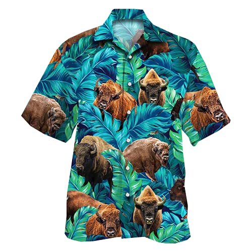 Bison 11