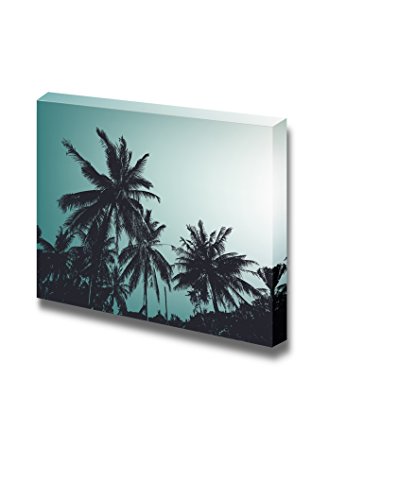 Palm Trees