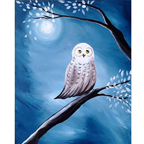 5D Diamond Painting Kit - Eagle & Owl Animal Design - Full Round Drill Diamond Embroidery - Rhinestone Mosaic Cross Stitch Art - 30x40cm Wall Decor for Living Room, Bedroom & Office (A10) - Perfect Gift for Adults & Craft Lovers