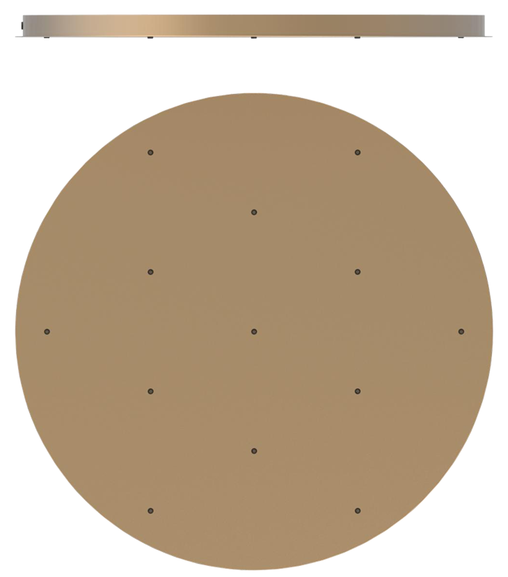 Anoli 13