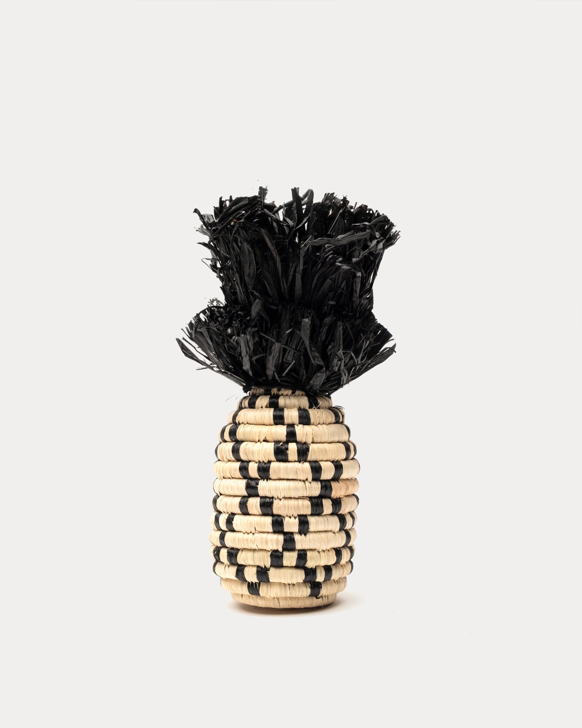 NANASI B N Charm - Elegant and Stylish Jewelry for Women | Perfect for Parties, Weddings & Everyday Wear