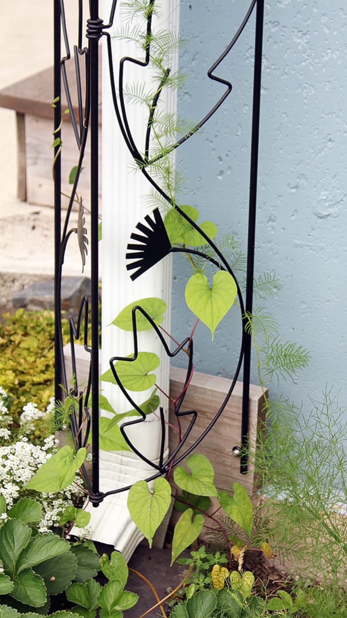 Black Downspout Trellis for Garden - Durable Metal Vine Support for Climbing Plants, Flowers & Vegetables - Perfect for Outdoor Decor, Fence & Wall Enhancement