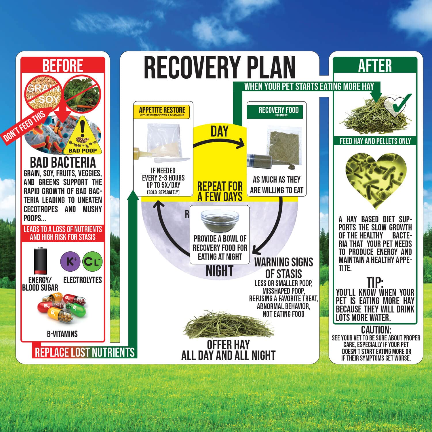 Sherwood Pet Health Rabbit Emergency Kit & Bulk Recovery Food – Large Kit for Small Animals | First Aid & Nutritional Support for Rabbits, Guinea Pigs, Chinchillas | Perfect for Emergencies, Travel & Daily Care