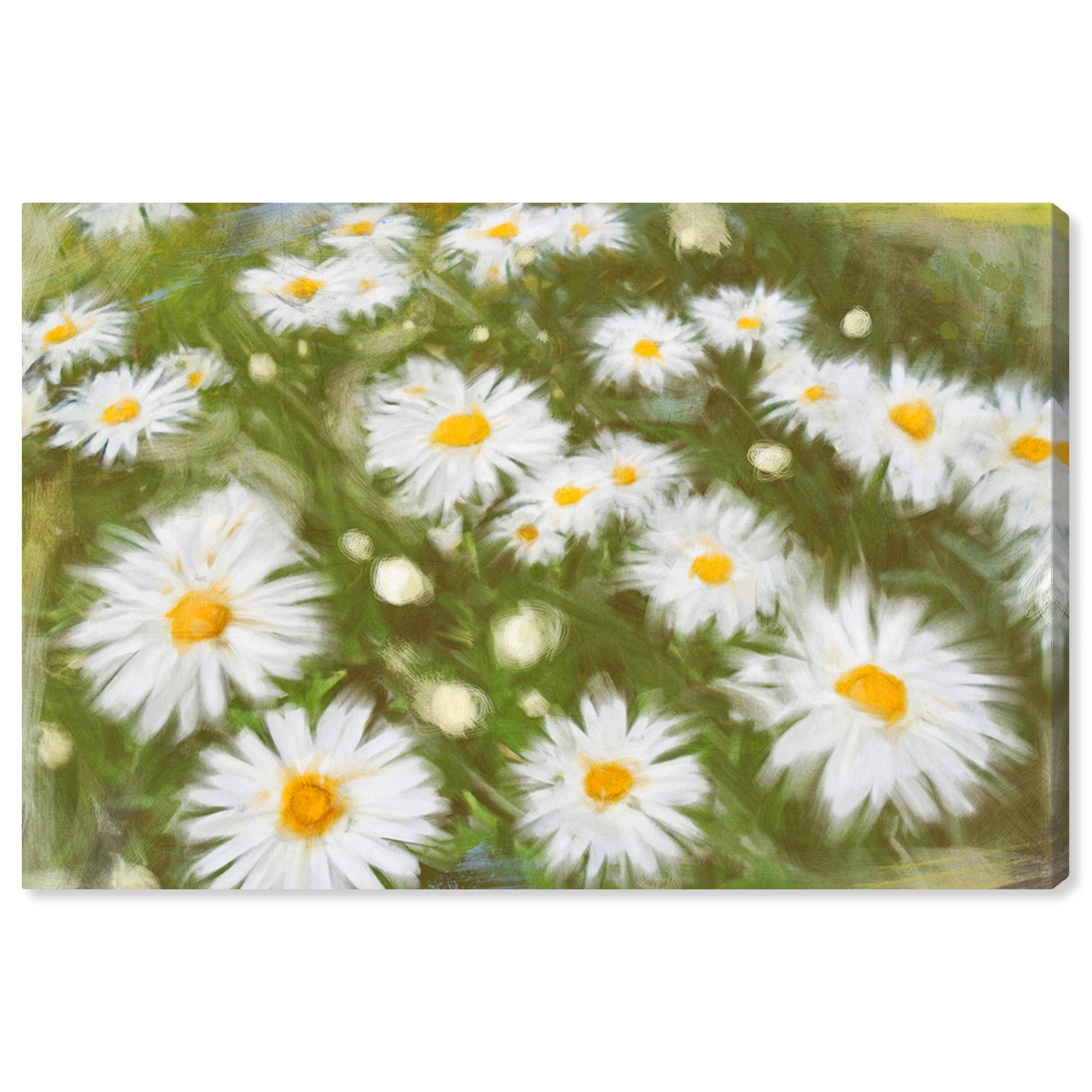 Oliver Gal Artist Co. Floral Wall Art Canvas Print 'Spring Petals' - 15