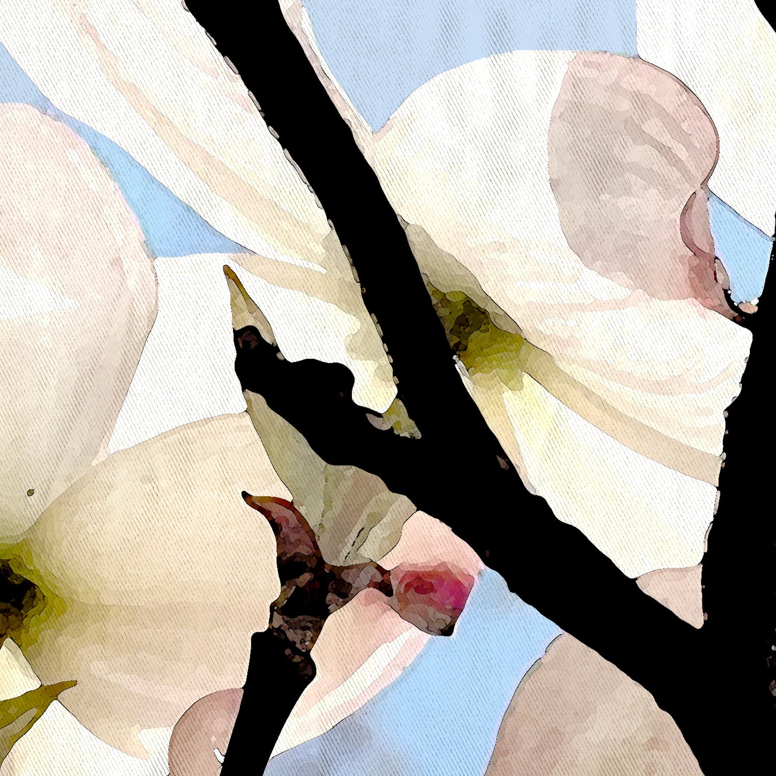 Blush Pink Dogwood Flowers Shower Curtain with Clear Blue Sky Design - Waterproof Bathroom Decor for Modern, Farmhouse & Coastal Style Homes