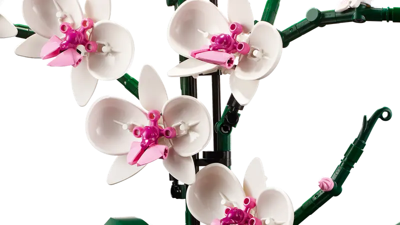 LEGO Botanical Collection Orchid Building Kit - Creative DIY Flower Model for Home Decor, Gift & Relaxation | Perfect for Plant Lovers, Office Desk & Living Room Display