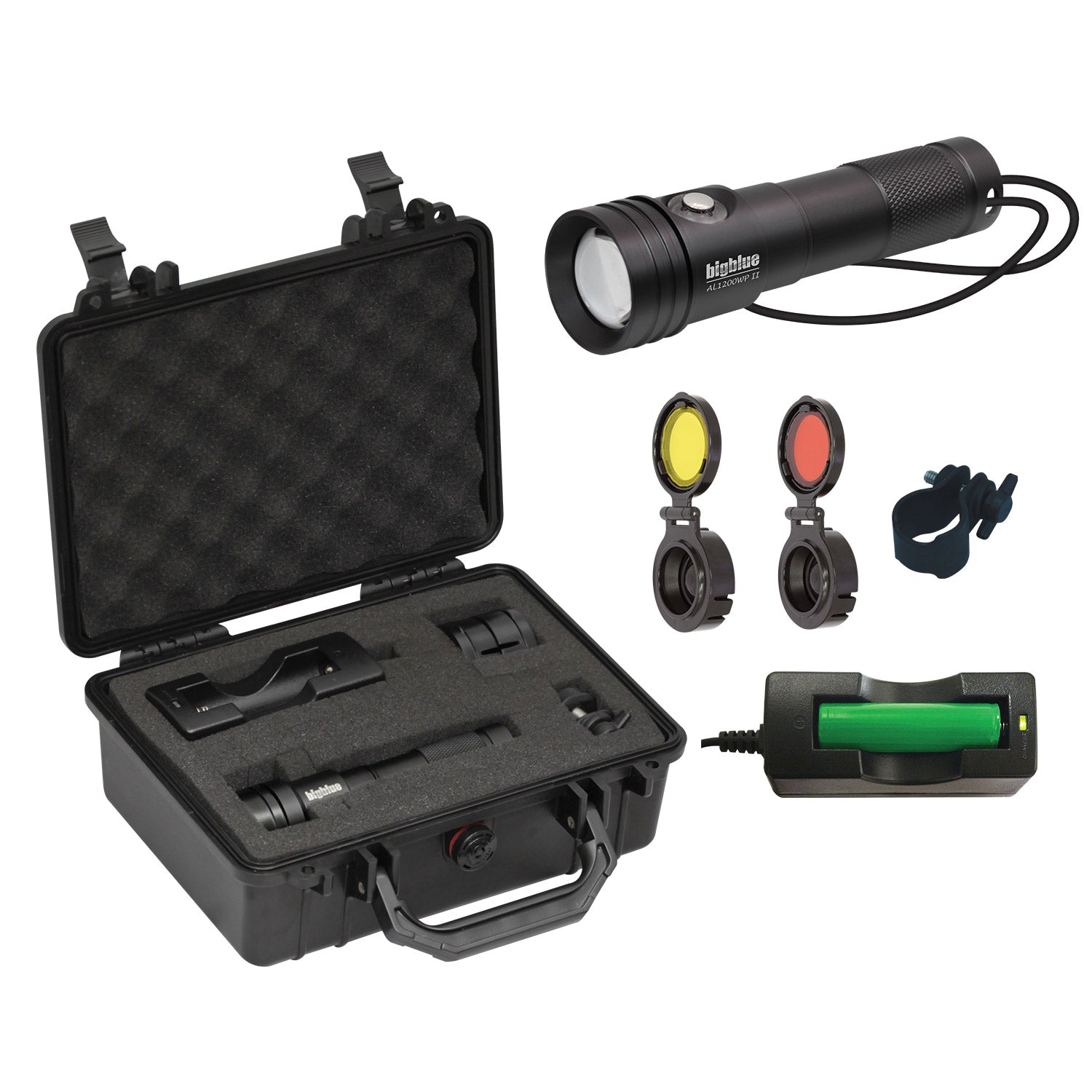 BigBlue AL1300WP Solar Charger with Hard Case - Portable Power for Camping, Hiking & Outdoor Adventures