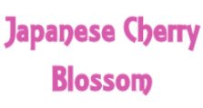 Japanese Cherry Blossom