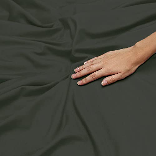 Dark Grey Solid