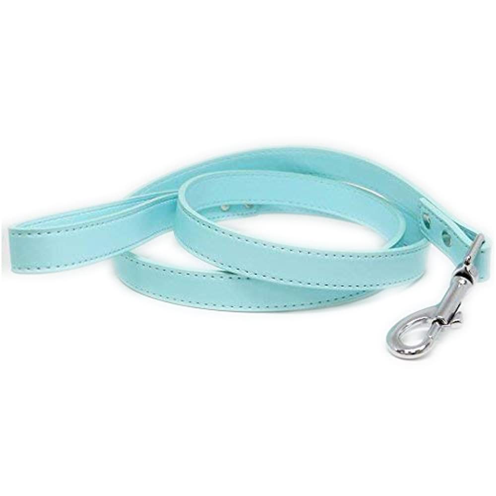 Blue Light Dog Leash - Reflective Leather Pet Leash for Night Walks & Safety | Custom Engraved Dog Collar for Weddings & Special Occasions | Perfect Gift for Dog Lovers | Durable & Stylish for Daily Use, Training & Outdoor Adventures