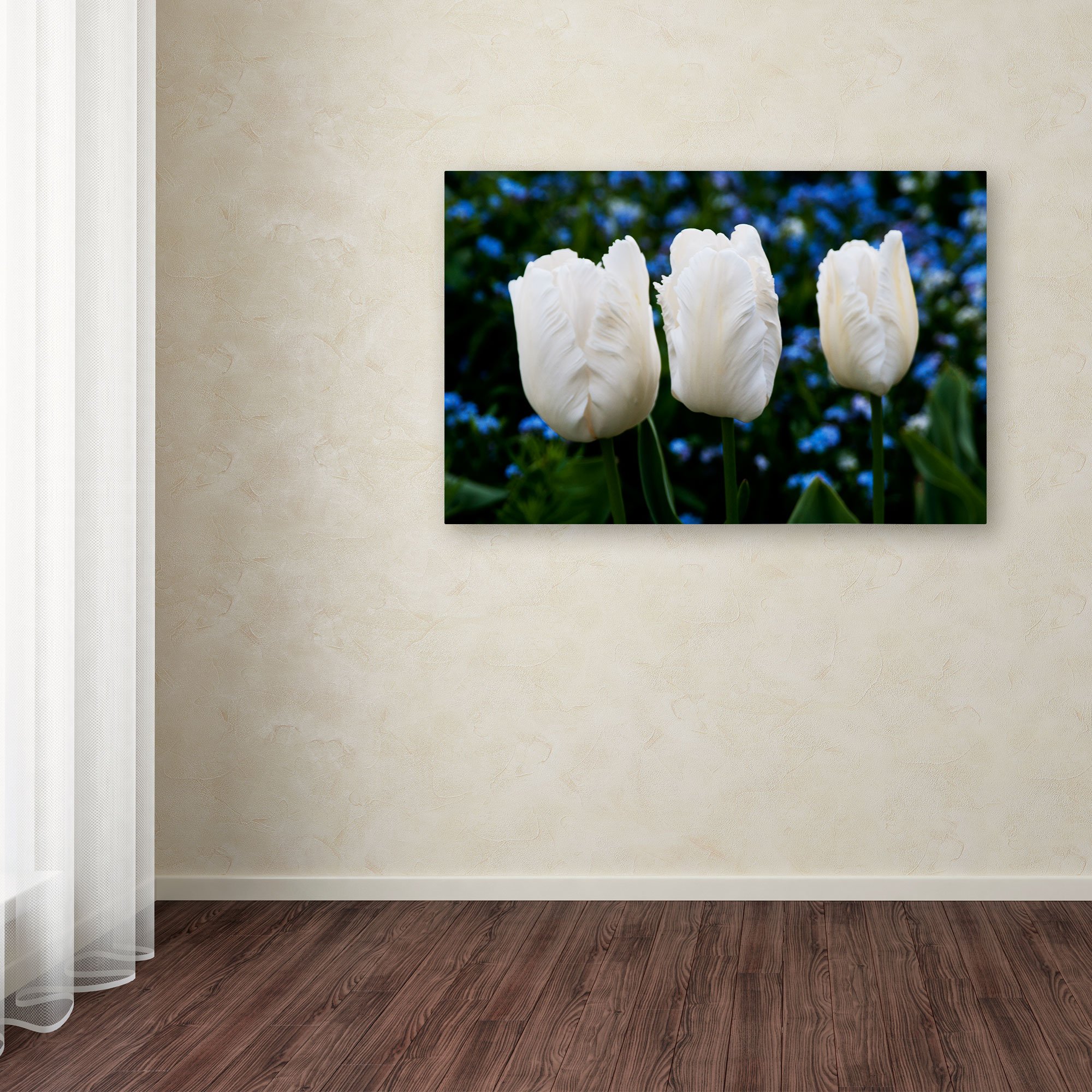 Kurt Shaffer 'Three Parrot Tulips' Canvas Wall Art Print - 12x19 Inches Floral Home Decor for Living Room, Bedroom & Office