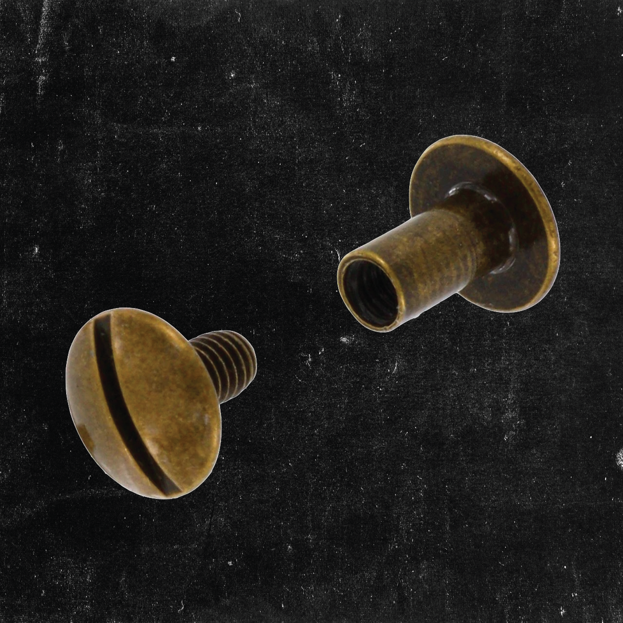 Antique Brass Chicago Screws 3/8