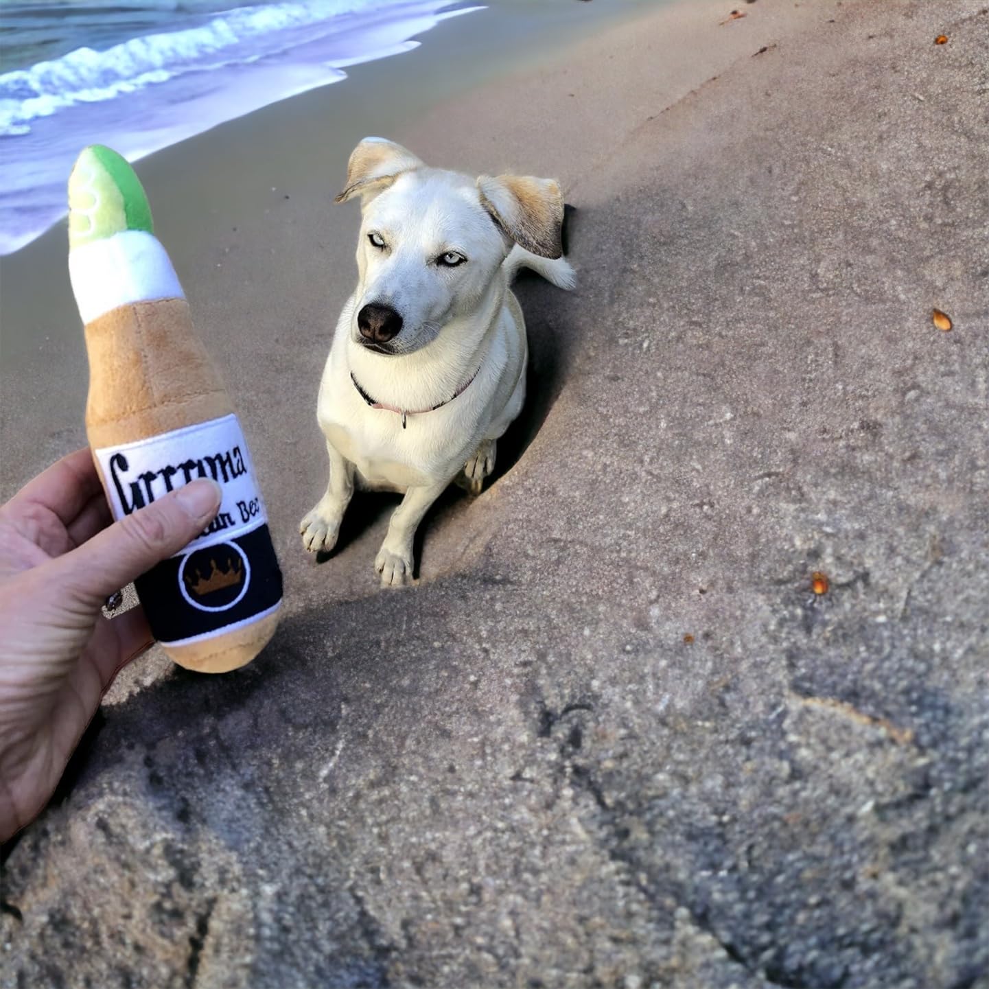 Soft Plush Beer Bottle Dog Toy - Fun Chew Toy for Small & Large Dogs, Perfect Birthday Gift & Holiday Party Favor (Grrrona) - Great for Playtime, Training Rewards & Puppy Teething Relief