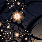 Night Flowers