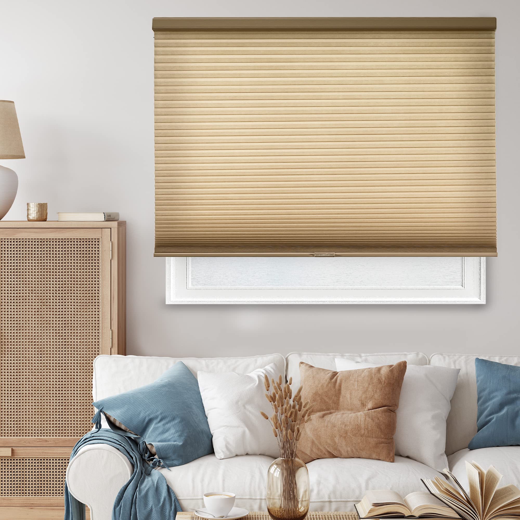 A Day Transformed by CHICOLOGY Cordless Cellular Shades