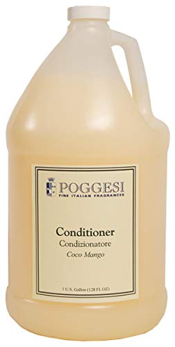 Conditioner