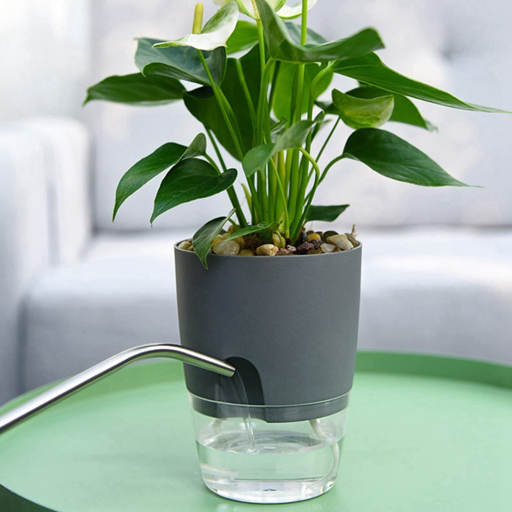 2 Layer Self Watering Plant Pots with Cotton Rope - Round Flower Pots for Indoor Plants, Succulents, Herbs - Automatic Watering System for Home, Office Desk, Balcony Garden Decor