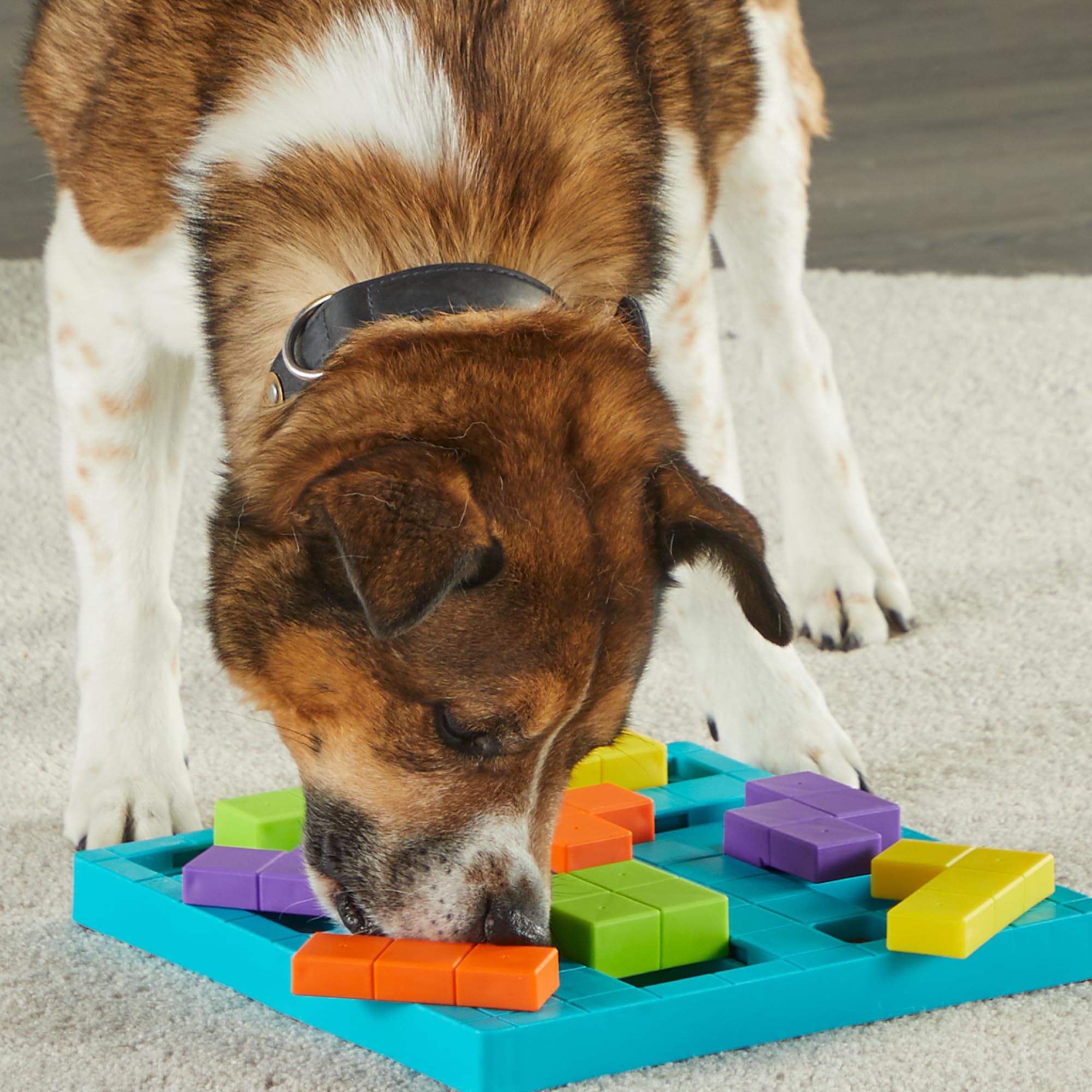 Brightkins Brain Teaser Treat Puzzle - Interactive Dog Toy for Mental Stimulation, Slow Feeder & Training Aid - Perfect for Small, Medium & Large Dogs - Fun Indoor Activity & Boredom Buster for Pets