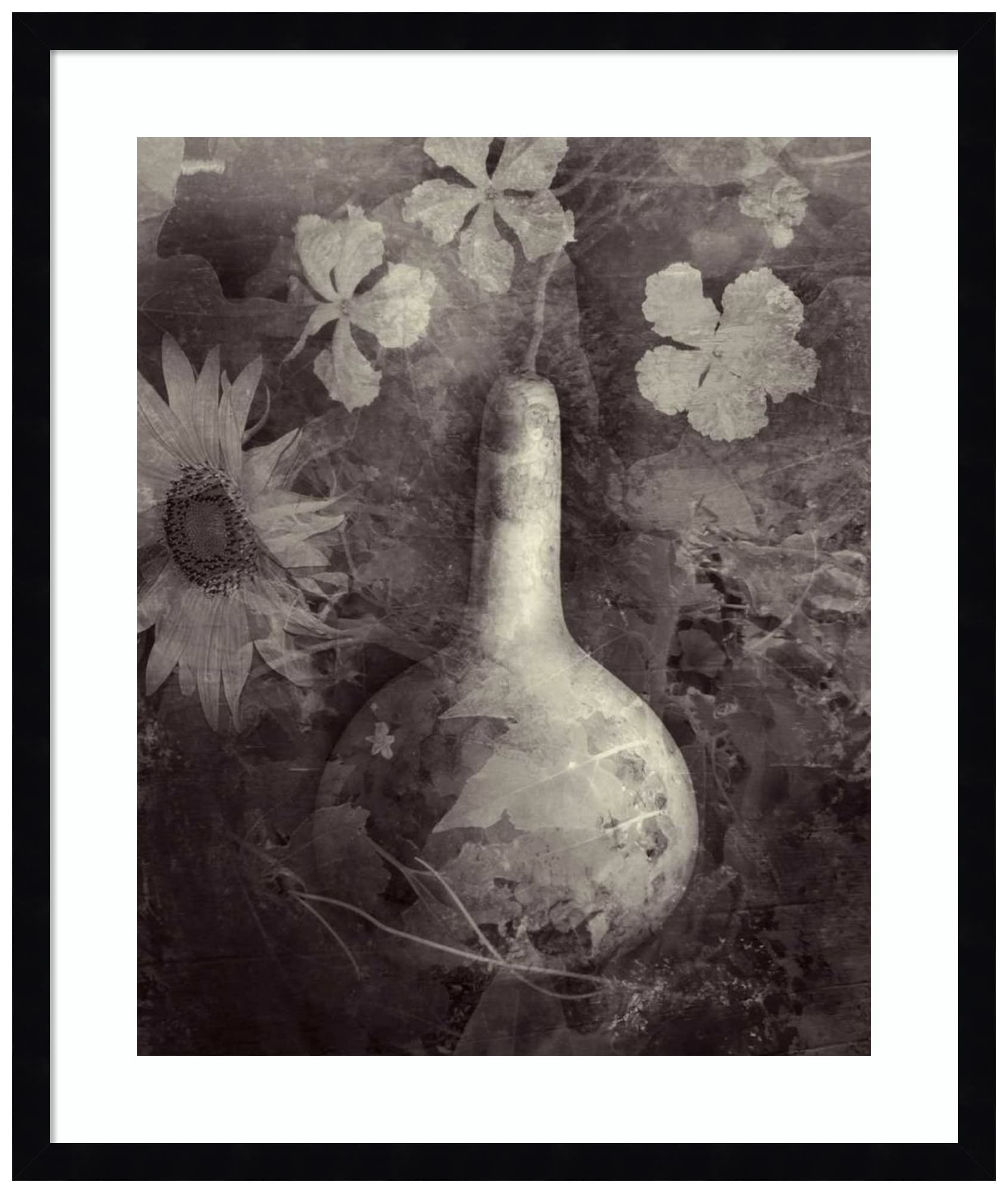 Amanti Art Framed Wall Decor - 25x21 Gourd II Floral Painting by Elena Ray | Vintage Style Canvas Print for Living Room, Bedroom, Office | Perfect Gift for Housewarming & Home Decoration