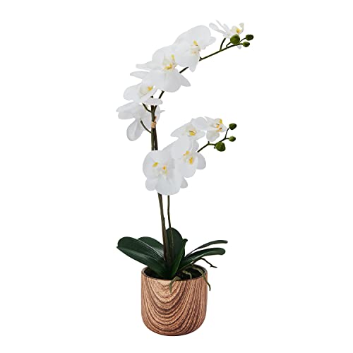White/Yellow
