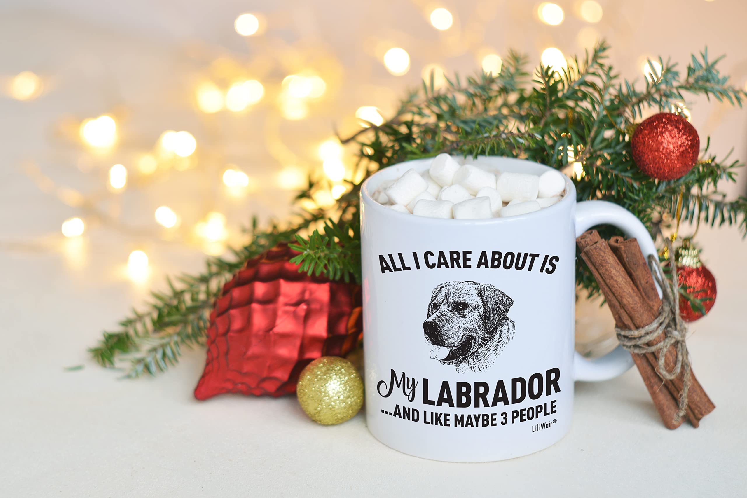 Funny Labrador Dog Lover Coffee Mug - Gift for Dog Moms, Dads & Pet Owners - Christmas, Birthday & Everyday Use - Perfect for Home, Office & Dog-Themed Decor