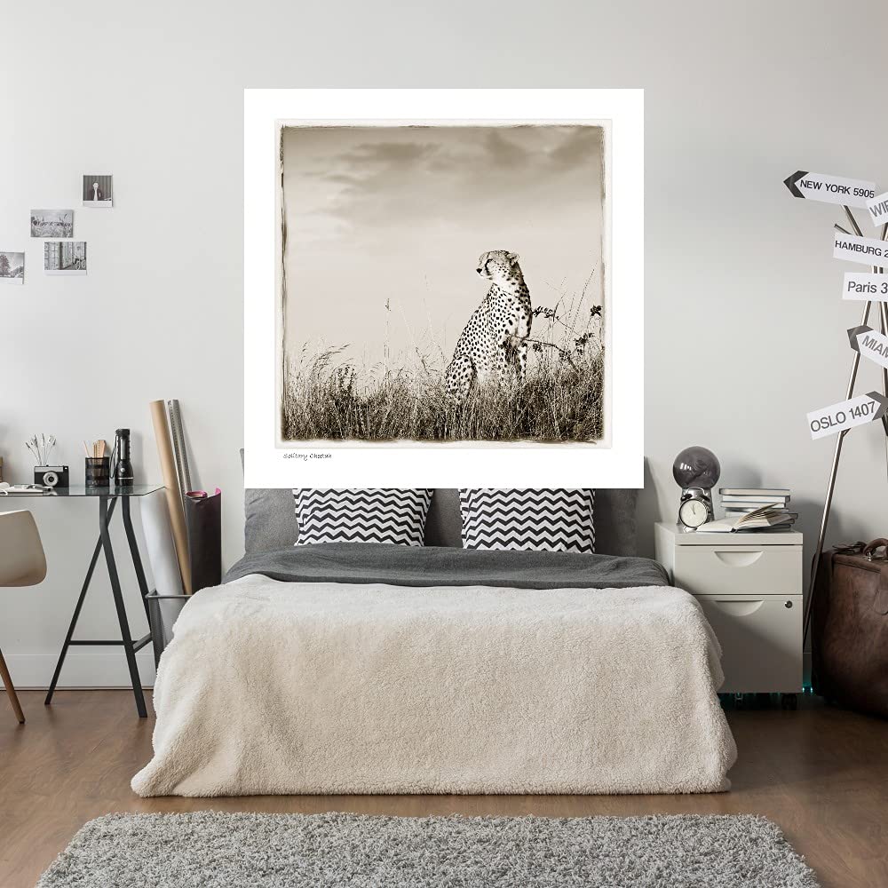 Solitary Cheetah Fine Art Canvas Print - Premium Wildlife Wall Decor by Artist Tiedge - 37x37 Inches - Ready to Hang for Living Room, Bedroom, Office & More - Perfect for Nature Lovers & Safari-Themed Interiors
