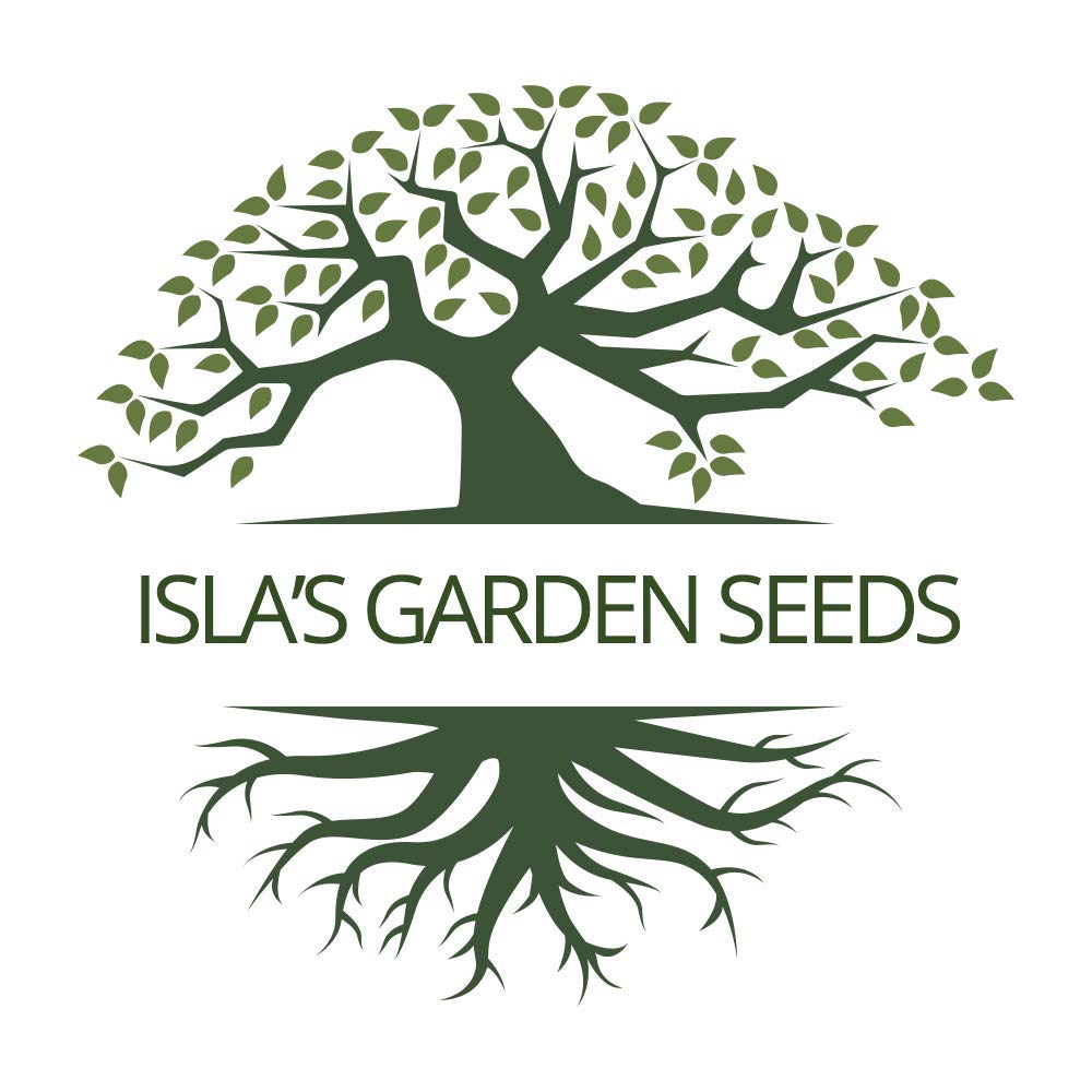 Non-GMO Calabrese Green Sprouting Broccoli Seeds for Planting - 1000+ Heirloom Seeds Per Packet by Isla's Garden Seeds (Brassica oleracea) - Perfect for Home Gardens, Organic Farming & Fresh Vegetable Harvests