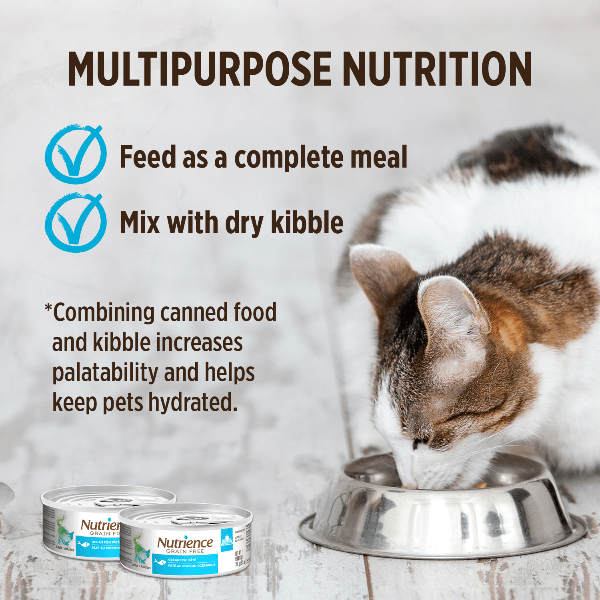 Nutrience Grain Free Ocean Fish Pate Canned Cat Food - High Protein Wet Cat Food for Adult & Senior Cats - Perfect for Picky Eaters & Digestive Health