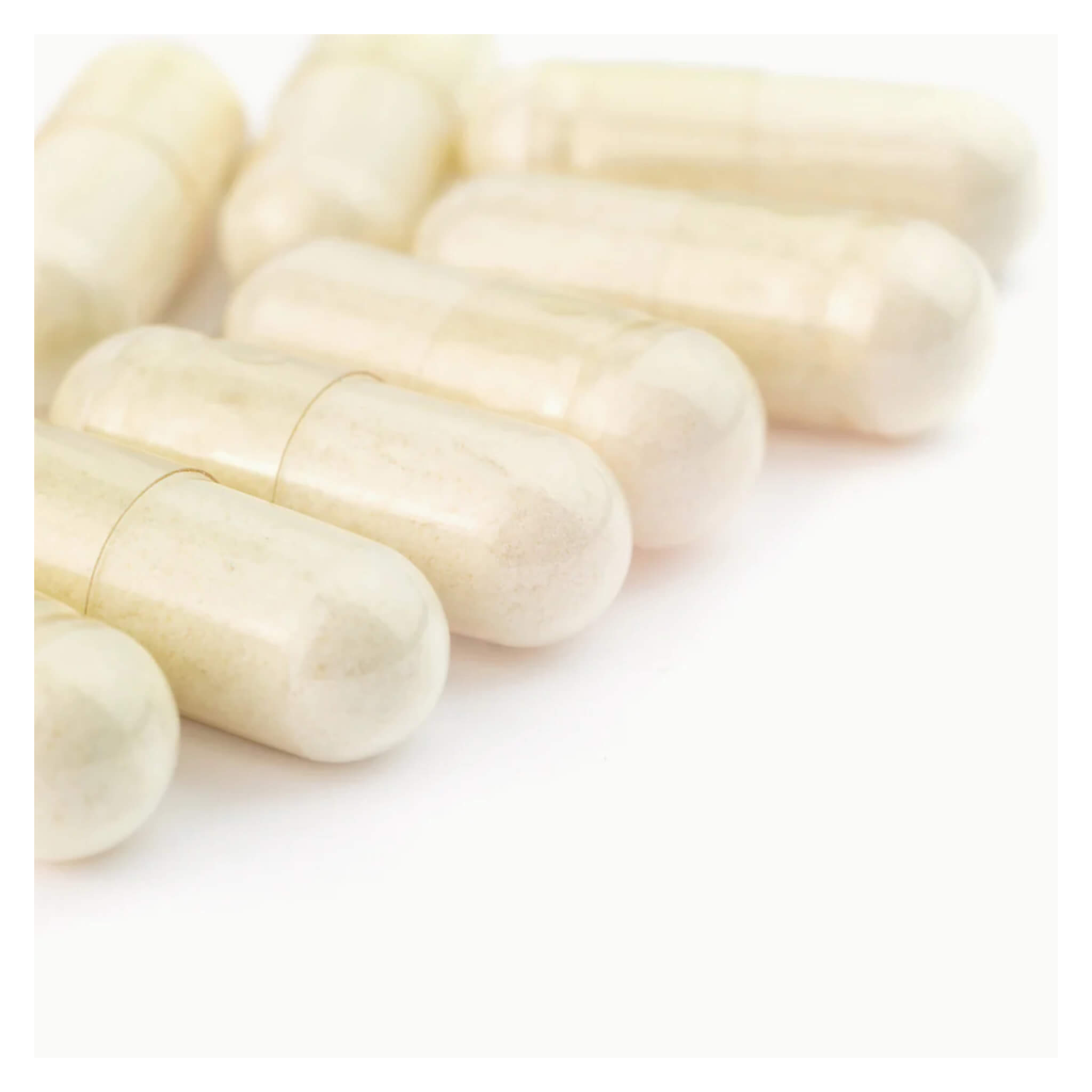 Digest Best Full Spectrum Digestive Enzymes Supplement for Gut Health & Digestion Support | Ideal for Meals, Bloating Relief & Nutrient Absorption