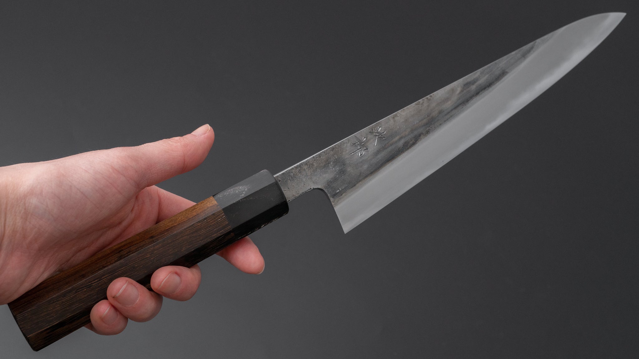 Premium Jiro Tsuchime Wa Sujihiki 210mm Japanese Slicing Knife - Taihei Tagayasan Handle (#481) - Perfect for Sushi, Sashimi & Meat Carving