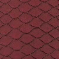 Rhubarb Snake