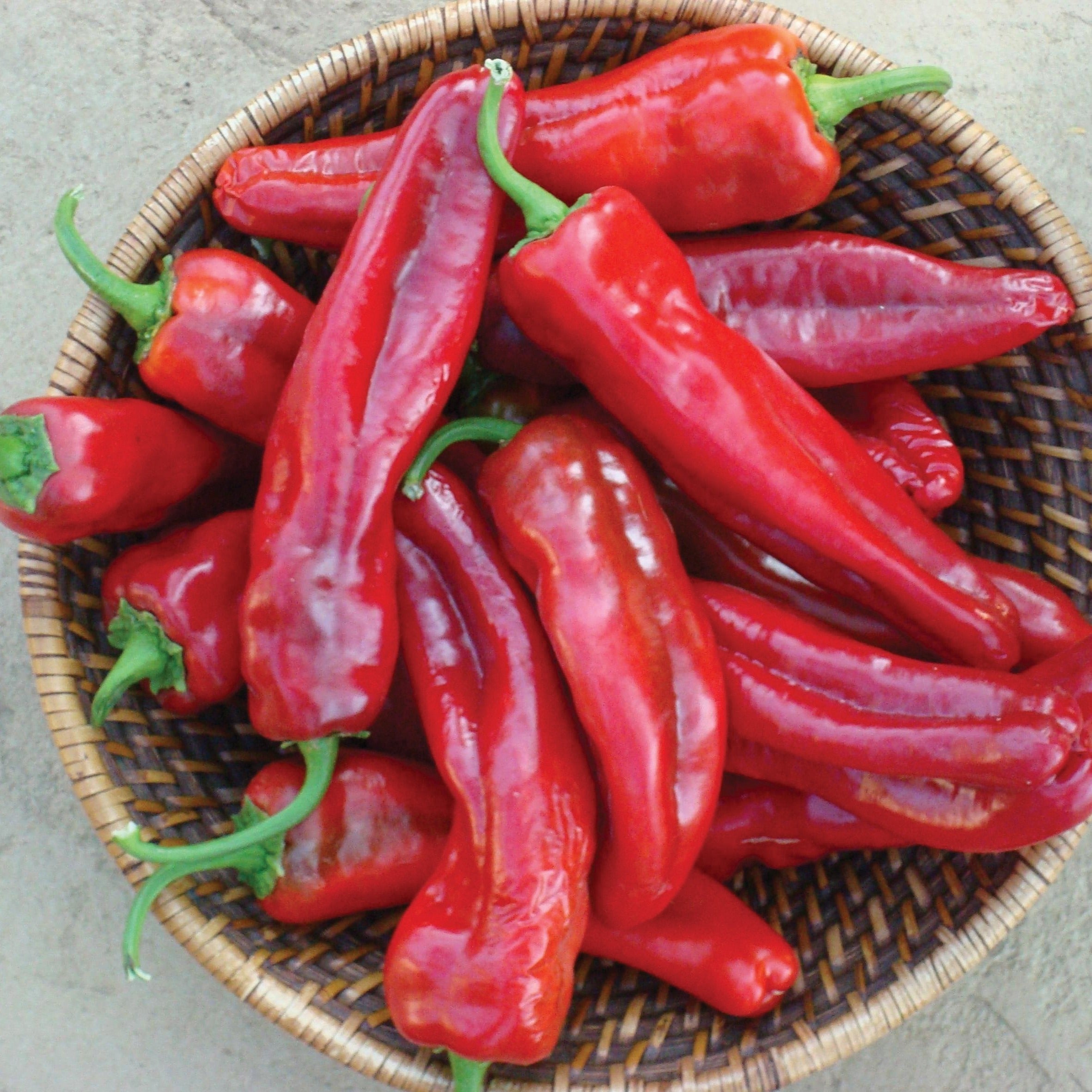 Giant Marconi Pepper Seeds - Sweet Italian Heirloom Peppers for Home Garden Planting - Perfect for Salads, Roasting, and Italian Recipes