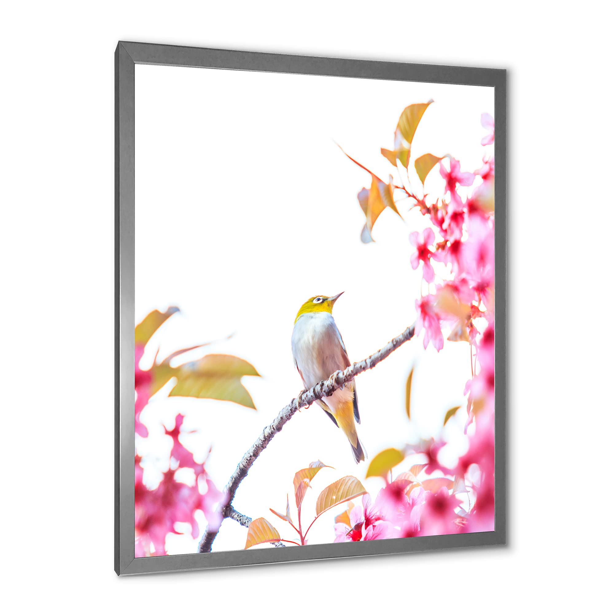DesignQ Traditional Framed Wall Art - Cherry Blossom Bird Painting - Home Decor for Living Room, Bedroom & Office