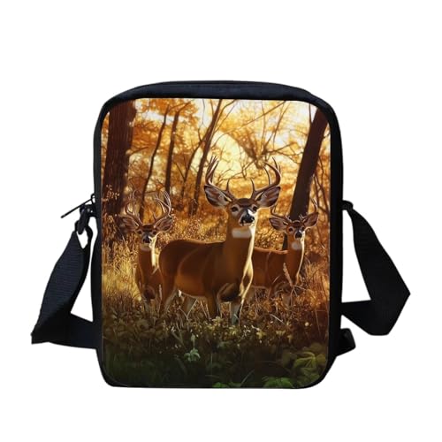 Forests Deer Elk